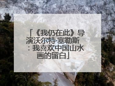 《我仍在此》导演沃尔特·塞勒斯：我喜欢中国山水画的留白