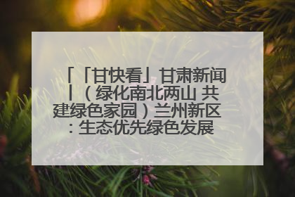 「甘快看」甘肃新闻丨（绿化南北两山 共建绿色家园）兰州新区：生态优先绿色发展 打造生态环保示范区
