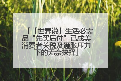 「世界说」生活必需品“先买后付”已成美消费者关税及通胀压力下的无奈抉择