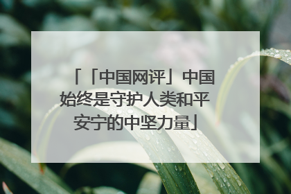 「中国网评」中国始终是守护人类和平安宁的中坚力量