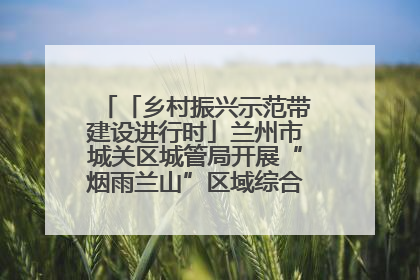 「乡村振兴示范带建设进行时」兰州市城关区城管局开展“烟雨兰山”区域综合整治专项行动
