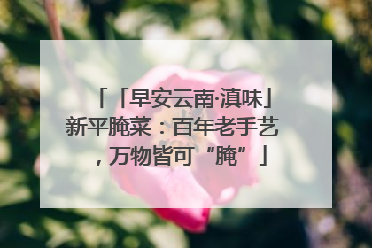 「早安云南·滇味」新平腌菜：百年老手艺，万物皆可“腌”