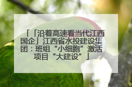 「沿着高速看当代江西国企」江西省水投建设集团：班组“小细胞”激活项目“大建设”