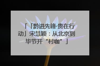 「黔进先锋·贵在行动」宋慧颖：从北京到毕节开“村咖”