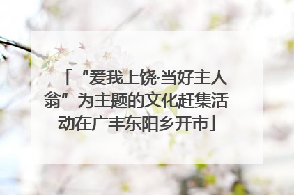 “爱我上饶·当好主人翁”为主题的文化赶集活动在广丰东阳乡开市