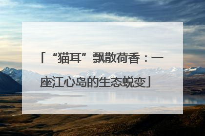 “猫耳”飘散荷香：一座江心岛的生态蜕变