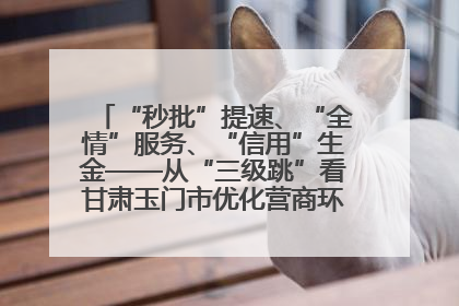 “秒批”提速、“全情”服务、“信用”生金——从“三级跳”看甘肃玉门市优化营商环境的进阶之路