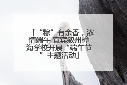 “粽”有余香，浓情端午 宜宾叙州樟海学校开展“端午节”主题活动
