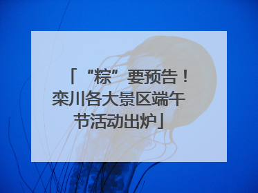 “粽”要预告！栾川各大景区端午节活动出炉