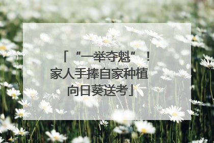 “一举夺魁”！家人手捧自家种植向日葵送考