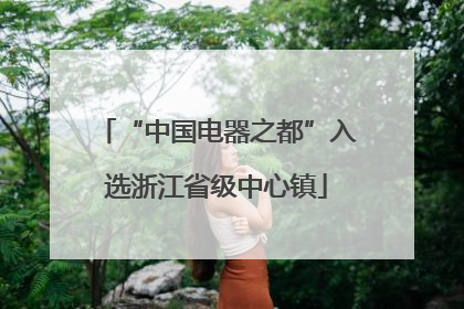 “中国电器之都”入选浙江省级中心镇