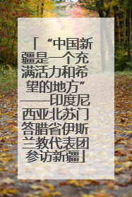 “中国新疆是一个充满活力和希望的地方”——印度尼西亚北苏门答腊省伊斯兰教代表团参访新疆
