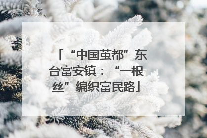“中国茧都”东台富安镇：“一根丝”编织富民路