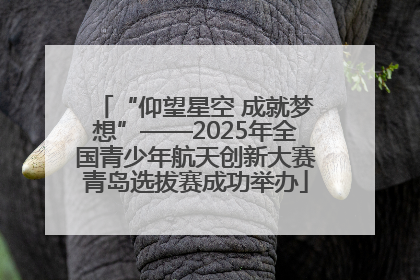 “仰望星空 成就梦想”——2025年全国青少年航天创新大赛青岛选拔赛成功举办