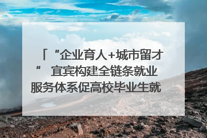 “企业育人+城市留才” 宜宾构建全链条就业服务体系促高校毕业生就业｜您牵挂的四川