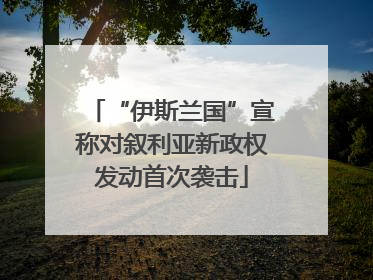 “伊斯兰国”宣称对叙利亚新政权发动首次袭击