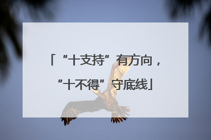 “十支持”有方向，“十不得”守底线