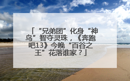 “兄弟团”化身“神鸟”智夺灵珠，《奔跑吧13》今晚“百谷之王”花落谁家？