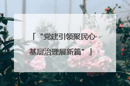 “党建引领聚民心·基层治理展新篇”