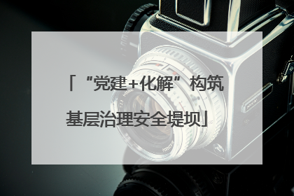 “党建+化解”构筑基层治理安全堤坝