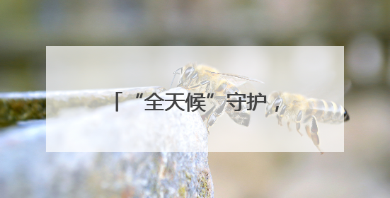 “全天候”守护，他们为高考学子撑起“电力蓝天”