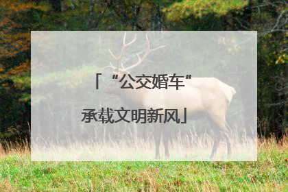 “公交婚车”承载文明新风