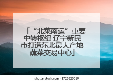 “北菜南运”重要中转枢纽 辽宁新民市打造东北最大产地蔬菜交易中心