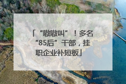 “嗷嗷叫”！多名“85后”干部，挂职企业补短板