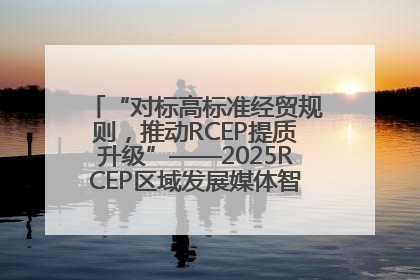 “对标高标准经贸规则，推动RCEP提质升级”——2025RCEP区域发展媒体智库论坛举行专题对话
