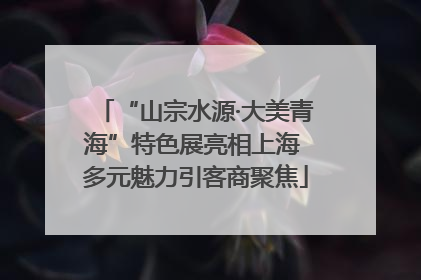 “山宗水源·大美青海”特色展亮相上海 多元魅力引客商聚焦