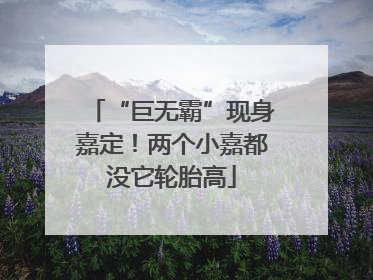 “巨无霸”现身嘉定！两个小嘉都没它轮胎高