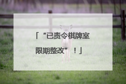 “已责令棋牌室限期整改”！