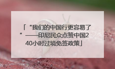 “我们的中国行更容易了”——印尼民众点赞中国240小时过境免签政策