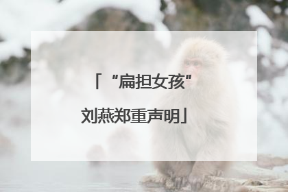 “扁担女孩”刘燕郑重声明