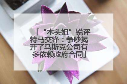 “木头姐”锐评特马交锋：争吵揭开了马斯克公司有多依赖政府合同