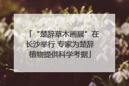 “楚辞草木画展”在长沙举行 专家为楚辞植物提供科学考据