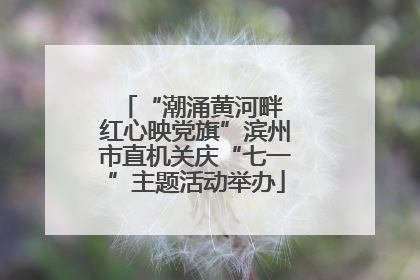 “潮涌黄河畔 红心映党旗”滨州市直机关庆“七一”主题活动举办