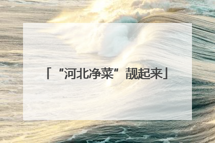 “河北净菜”靓起来