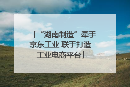 “湖南制造”牵手京东工业 联手打造工业电商平台