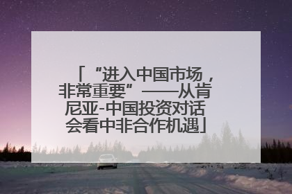 “进入中国市场，非常重要”——从肯尼亚-中国投资对话会看中非合作机遇