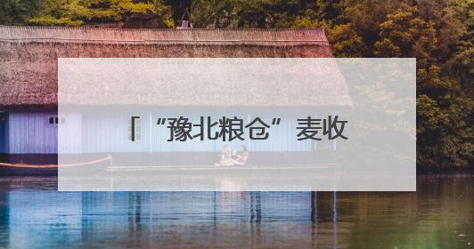 “豫北粮仓”麦收跑出“加速度”