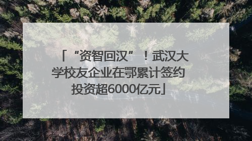 “资智回汉”！武汉大学校友企业在鄂累计签约投资超6000亿元