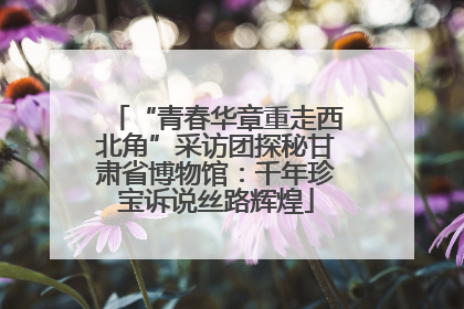 “青春华章重走西北角”采访团探秘甘肃省博物馆：千年珍宝诉说丝路辉煌