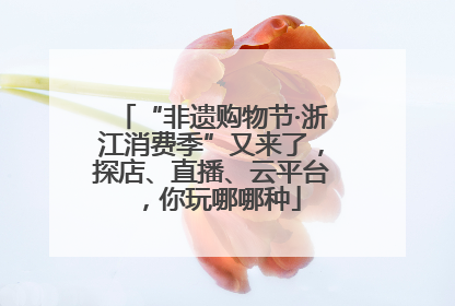 “非遗购物节·浙江消费季”又来了，探店、直播、云平台，你玩哪哪种