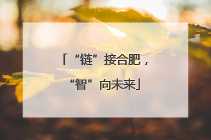 “链”接合肥，“智”向未来