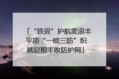 “铁翼”护航麦浪丰 平凉“一喷三防”织就夏粮丰收防护网