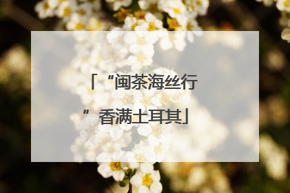 “闽茶海丝行”香满土耳其