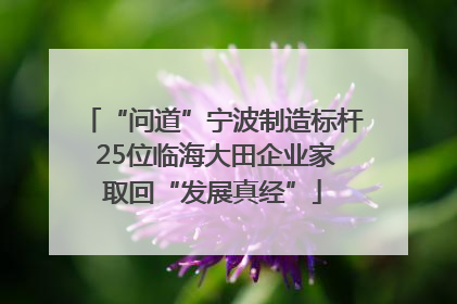 “问道”宁波制造标杆 25位临海大田企业家取回“发展真经”