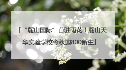 “麓山国际”首驻雨花！麓山天华实验学校今秋迎800新生