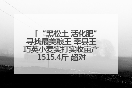 “黑松土 活化肥”寻找最美粮王 莘县王巧英小麦实打实收亩产1515.4斤 超对照田144斤！